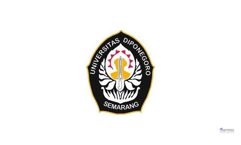 CEK PINNED! tweet media