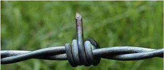 KdJoyal's tweet photo. @LavanyaBallal @yeswanth86 So, #LavanyaBJ is hoping that archeological findings will be different,than their survey !🤣😜
Happens, when you spend too much time BJ ing !
She ought to first insert this 👇👈, thereafter apply this, internally 👇👉🏻
आराम मिलेगा, जिसके बाद #ChalPhut !😜🤣 https://t.co/ucxgXl0lfK