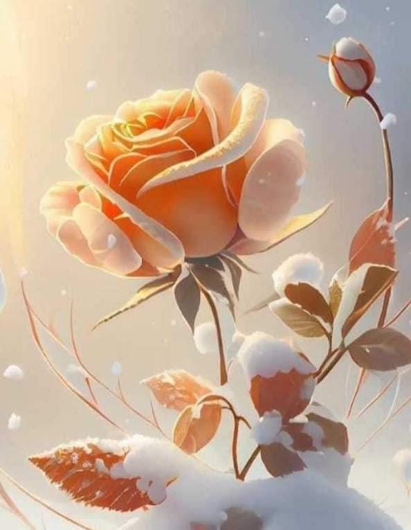 Safeer Butt tweet media