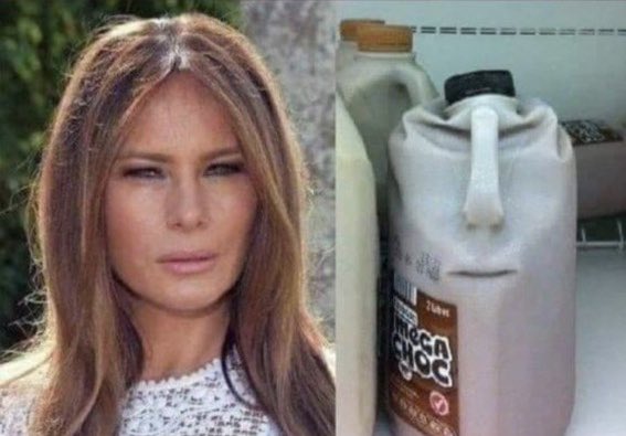younakaEVH's tweet photo. I found Melania in the fridge😳 https://t.co/gadKLBCK3M