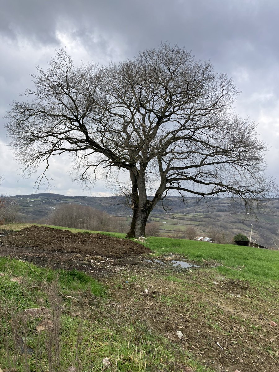 Ben kalıyorum, günler gidiyor sessize..
#köy #doğayürüyüşü #tekvetenha