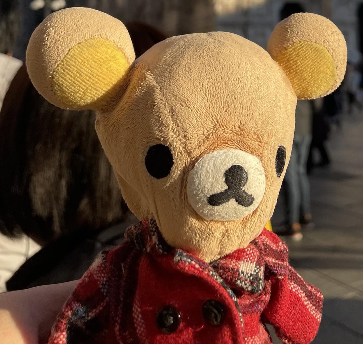 sonocci's tweet photo. +++ AIUTAMI A TROVARLO +++
Una persona giapponese ha perso il suo adorato pupazzo di Rilakkuma, è un tenero orsacchiotto vestito con un capottino rosso!
È scomparso il 24 gennaio a #Roma in zona Ponte Palatino, vicino alla Bocca della Verità.

Se l'hai visto invia... https://t.co/SQpXXmdNYh