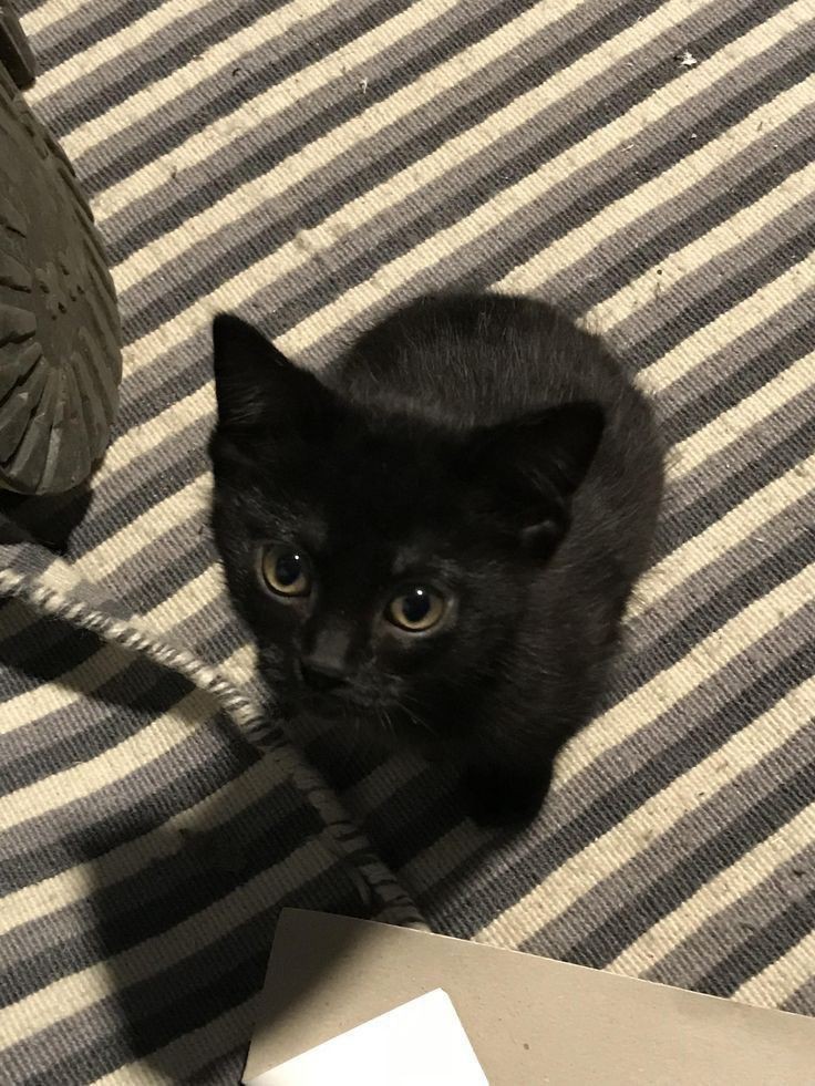 ssupdrmn's tweet image. ︎︎ ︎

                    jaó.⠀° sns update !
                    "Good evening!"
︎︎︎ ︎
︎︎ ︎