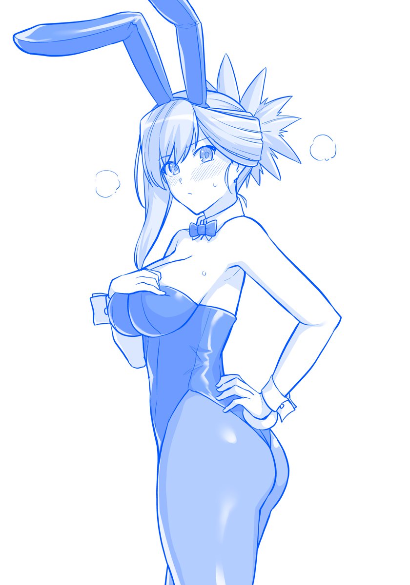 バニー武蔵ちゃん
立ち絵を一種追加したい 