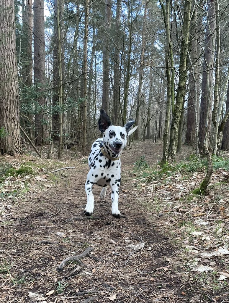 We can never under estimate the therapeutic benefits of being outdoors 💚 especially when you’ve got a comedian with you!