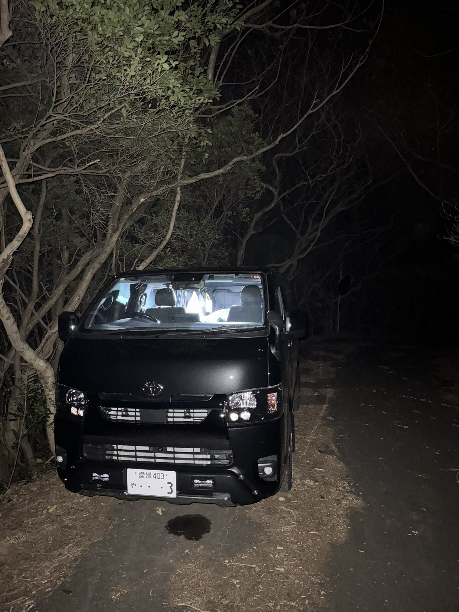 ポンさん ZX Fury 名作を融合した最後のコラボレーションモデル！ – SONAR