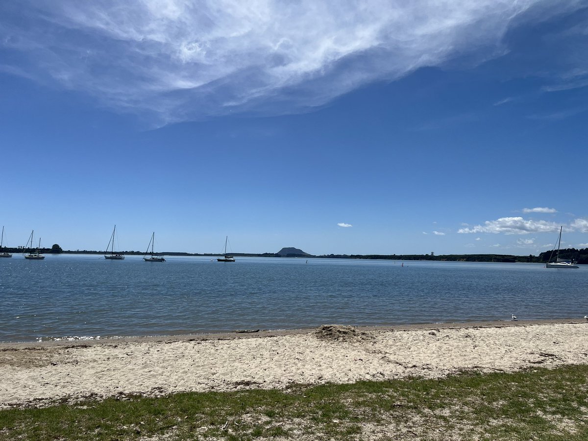 Jess Archer tweet media