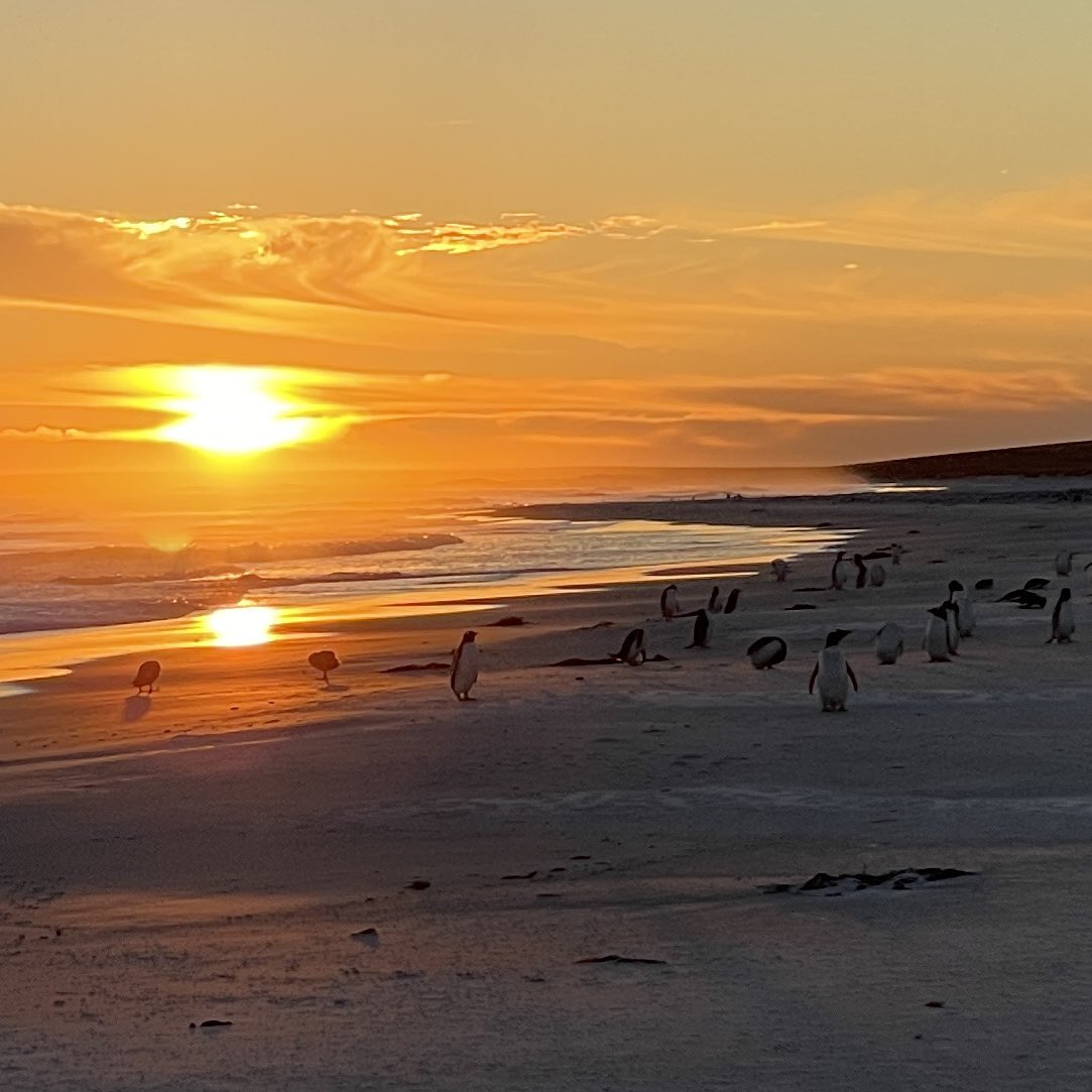 hmsprotector's tweet photo. Watch rotation complete ✅ We are ready for our second Antarctic work package and had some time to enjoy the stunning Falkland Islands summer ☀️🐧 https://t.co/nLMifHjC2p