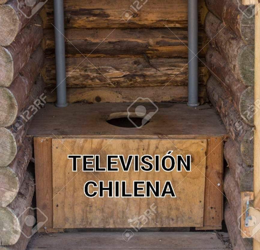 MariochE19's tweet photo. @PamJiles @diego_ibanezc @emischneiderv @Claudia_Mix Vuelve a tu habitat natural https://t.co/qaO3iAt9ij