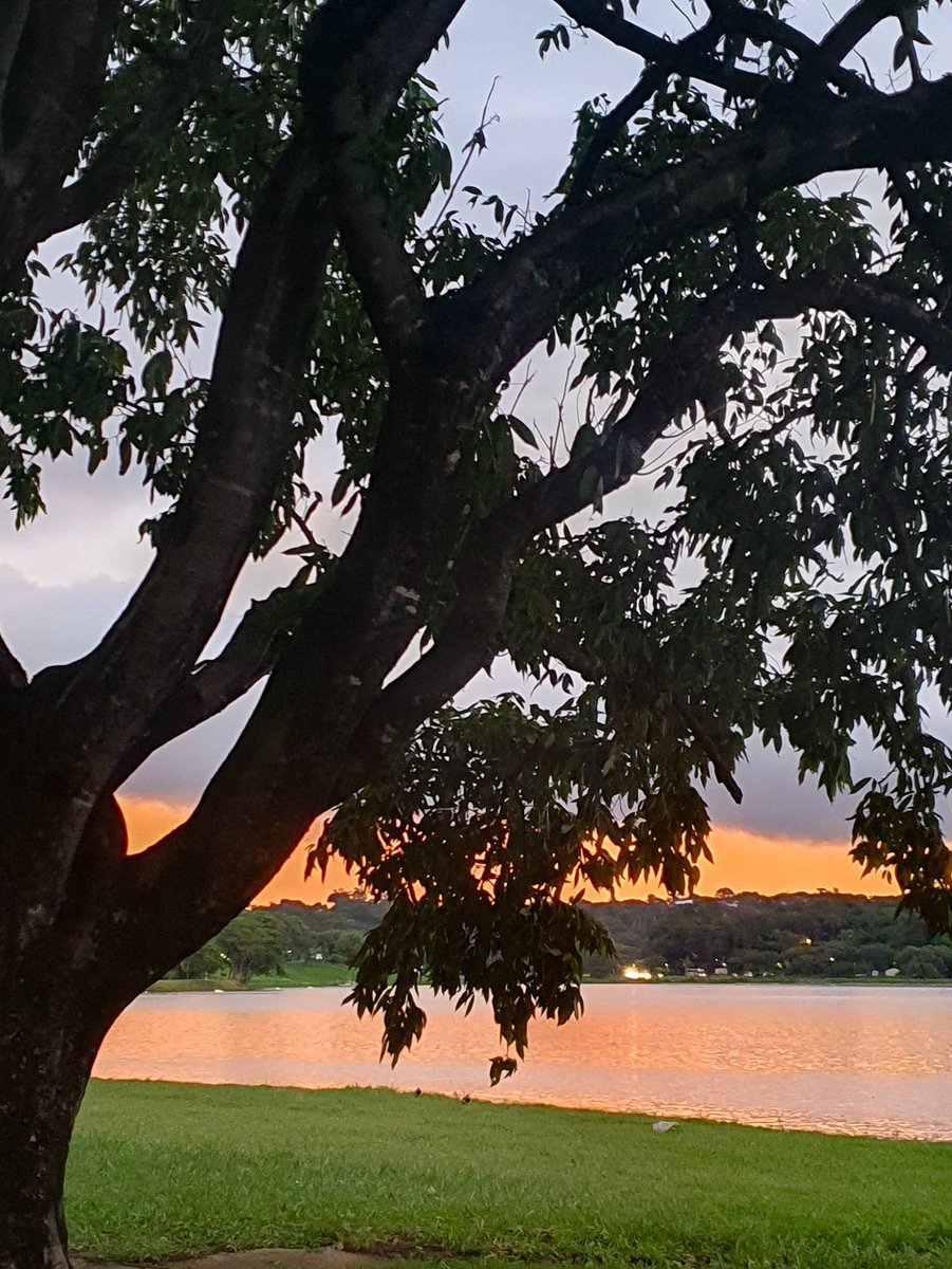 Gm folks!
#rainysunset yesterday