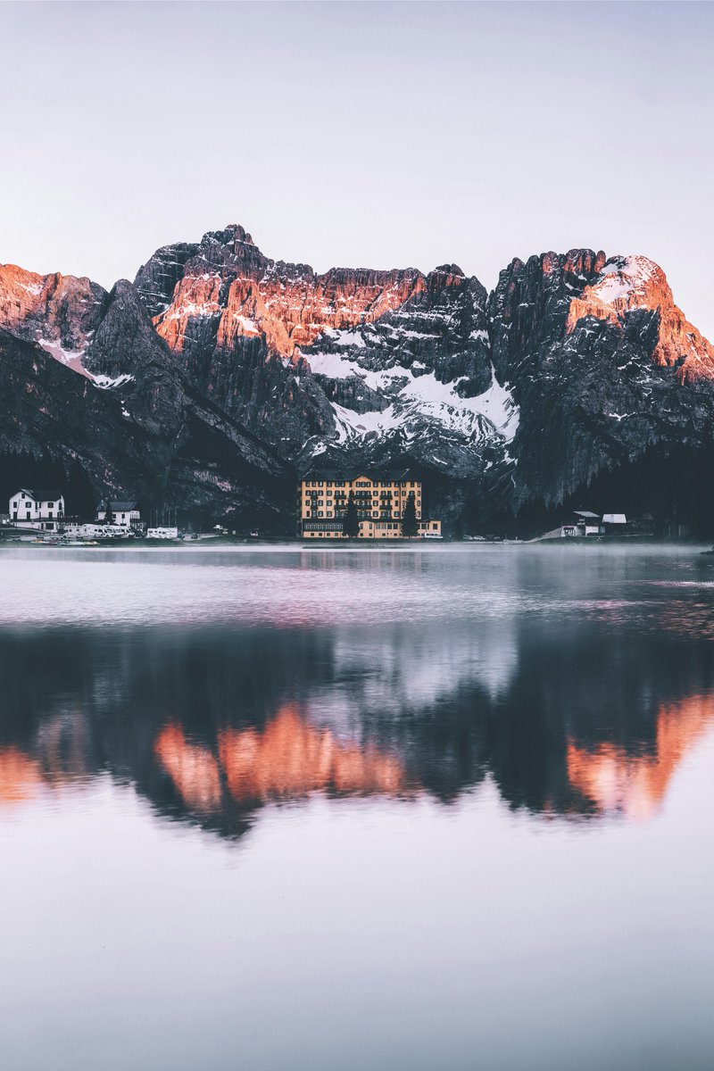 Felipe  Neves tweet media