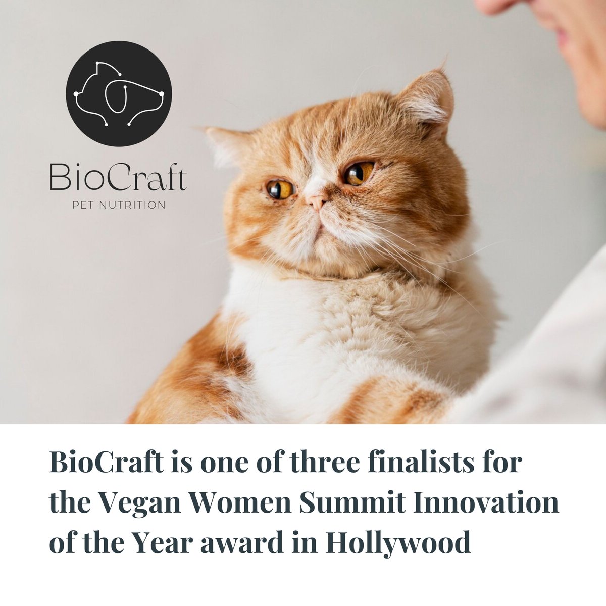 BioCraft is one of three finalists for the Vegan Women Summit Innovation of the Year award in Hollywood. 🌟

What an honor to be nominated and congrats to fellow nominees UPSIDE Foods and UNCAGED Innovations. 💯

Here's the announcement 👉 veganwomensummit.com/innovation-of-…

#altprotein