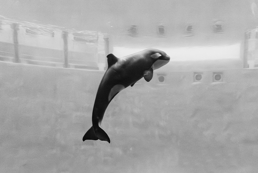 Marine Connection tweet media