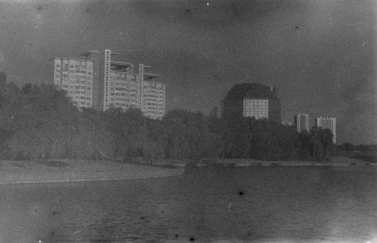 Alex Digger tweet media