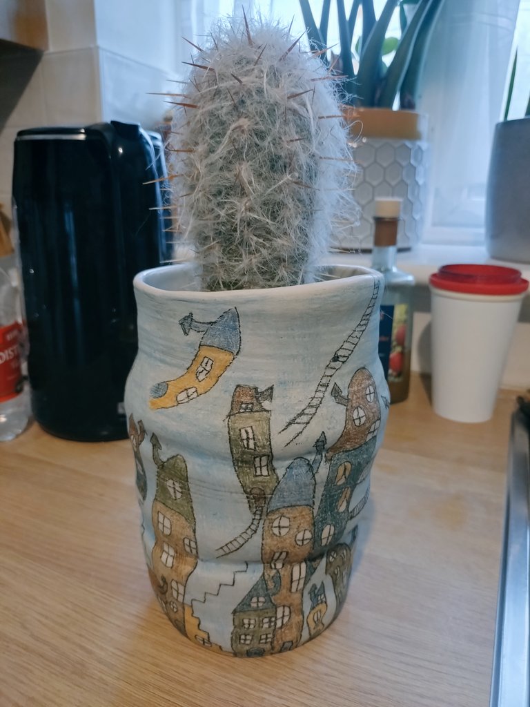 I have neglected this old man's cactus. Due to its modified spines providing a shaggy protective coat of grey hair. I am unsure whether it's dead or alive.
#Schrödingerscat