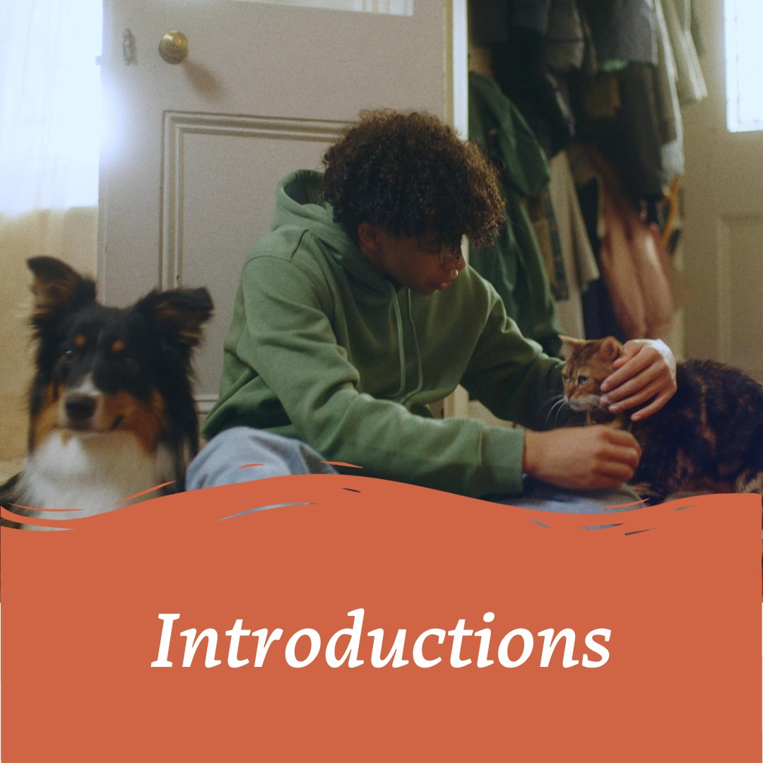 Introducing a new pet to your family home is exciting - but can be overwhelming for a dog 🏡

Here are our top tips for settling a puppy into your home.

bit.ly/3tFkhmk