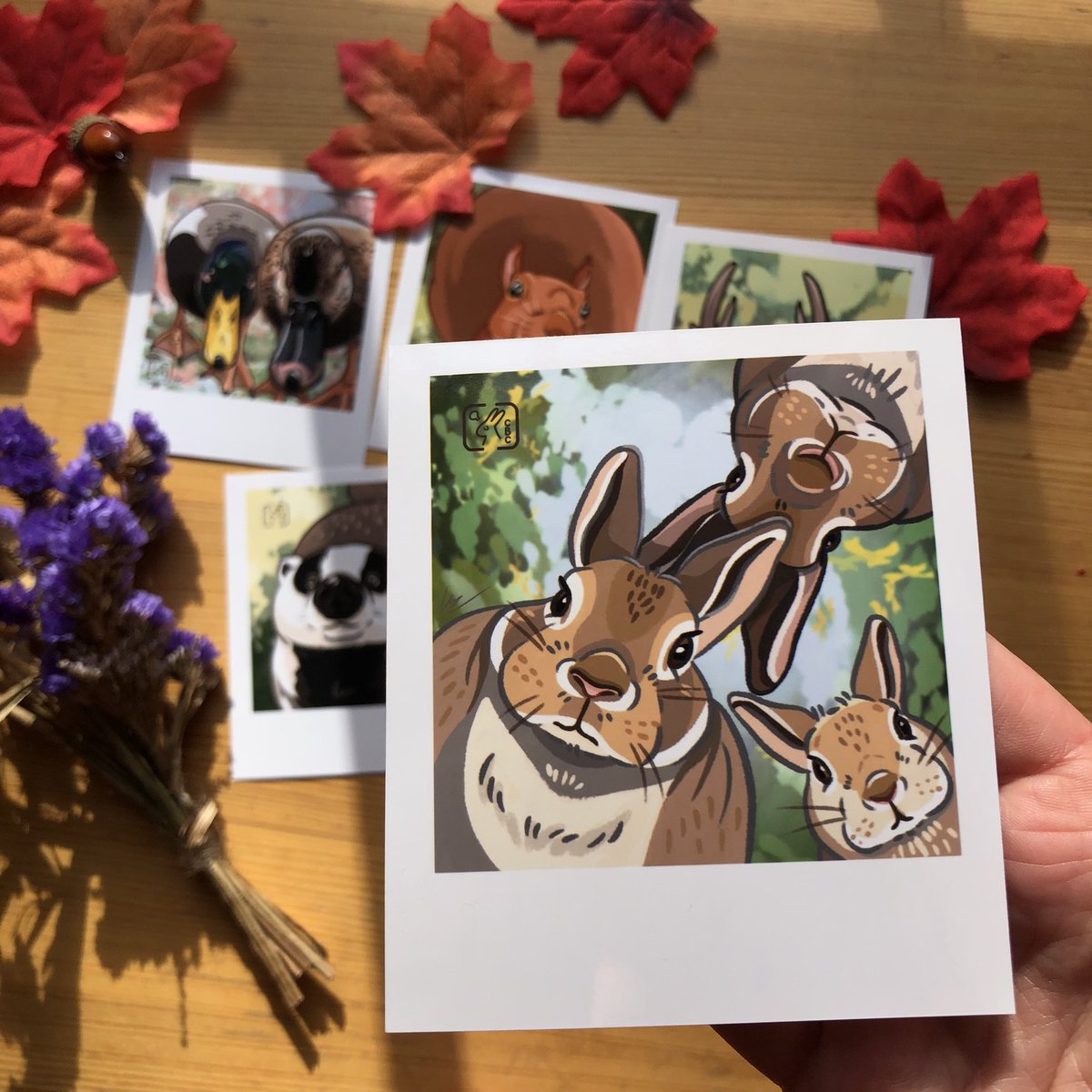 My Enchanting Wildlife Polaroid Art Prints are back in stock! There are 15 designs featuring British Wildlife 🌿🍄🌱#UKGiftAM #UKBizLunch #cottagecore #supportsmallbusiness