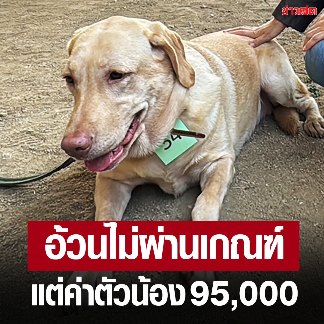 แย่มากก น้องมีค่าตัวนะ อย่าบูลลี่น้องงงง 5555555555