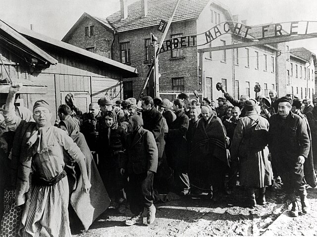 wrkclasshistory's tweet photo. #OtD 27 Jan 1945 the Red Army liberated the Auschwitz concentration camp in occupied Poland that was used by the Nazis to murder 1.3 million people, most of whom were Jewish. https://t.co/vtEa3M7i3f