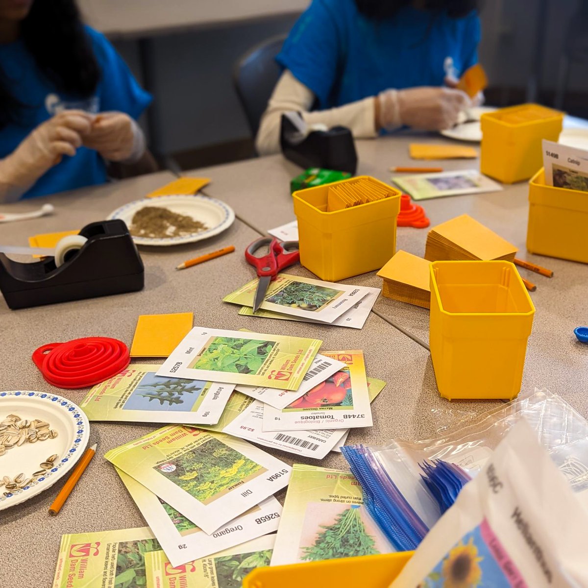 pickeringlibs's tweet photo. Our Seed Library will help make gardening more accessible for our community. With your donations, we can expand our offering and help everyone discover their green thumb. 
Donate labelled seeds at any branch until January 30 🌱

More: https://t.co/VRxCeVvEl6 https://t.co/FkWihp7HSM
