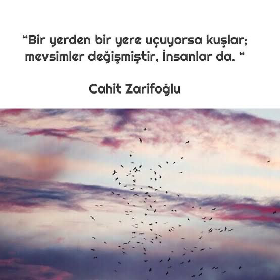 aheste (@aheste1) on Twitter photo 