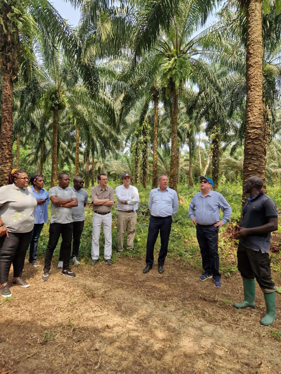 FRauCameroun's tweet photo. 2/2
Soutenir les petits exploitants agricoles en garantissant l'organisme prêteur, c'est l'objet de l'accord signé hier entre @Proparco et #Advans https://t.co/vPZT0tZsZN
