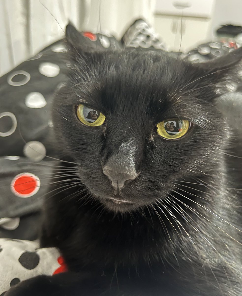 Merve (@mrvurkmz) on Twitter photo 