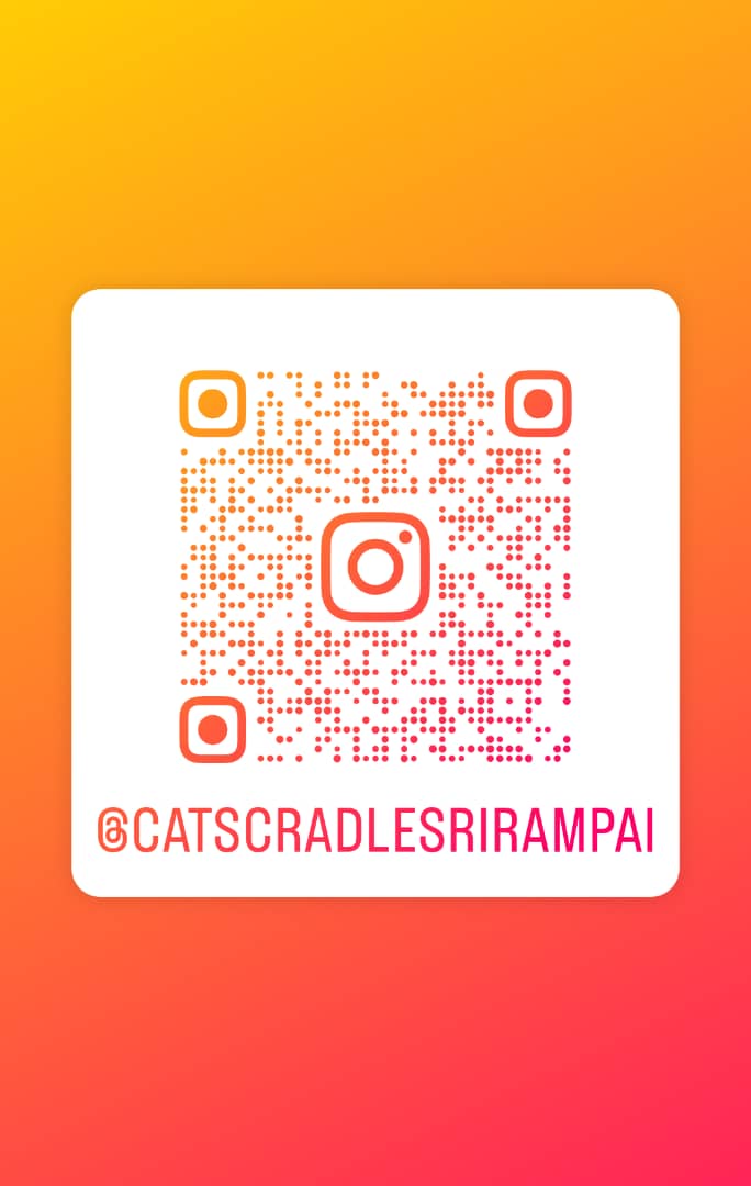 ahba_8's tweet photo. @brgsjks Tuan mohon tumpang iklan kedai miau saya. Best cat boarding &amp; cat grooming service in the area, now ranking no 3 in KL. Lokasi Rampai Business Park, Tmn Sri Rampai, 53300 KL. Terima kaseh sgtxxxx333 https://t.co/uMaMYpTzS5
