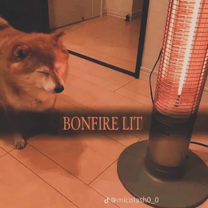 𝕀 𝕨𝕚𝕝𝕝 𝕕𝕠 𝕒𝕝𝕝 𝕀 𝕔𝕒𝕟 (@fromnagasblood) on Twitter photo 