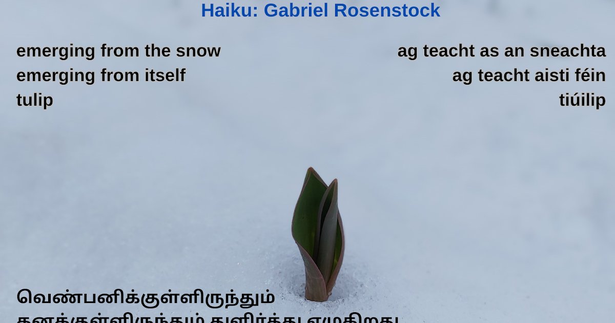 haiku dlvr.it/T1xtQ1