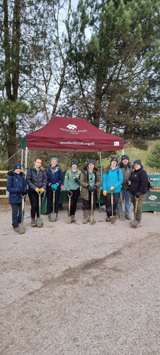 WT_PaulMos's tweet image. All set for planting  2500 more trees at Frodsham Woods  today with 260 volunteers. 15580 of 30,00 trees planted this year! 

#PlantMoreTrees #northernforest #naturerecovery @WoodlandTrust