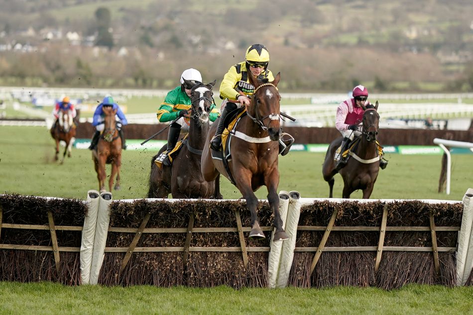 Racing Post Bloodstock tweet media