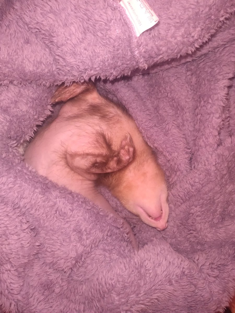 Left a jumper on the floor 😄