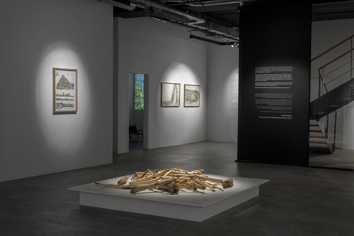 svdpt's tweet photo. 🦫 Vernissage de l’exposition « Le temps profond des rivières » de l’artiste @SuzanneHusky, lauréate du Prix @DRAWINGNOWPARIS (commissariat Lauranne Germond) aujourd’hui de 17h à 19h au @DrawingLabParis (17 rue de Richelieu Paris 1er). Venez nombreux ! https://t.co/5D8v5EYmQt