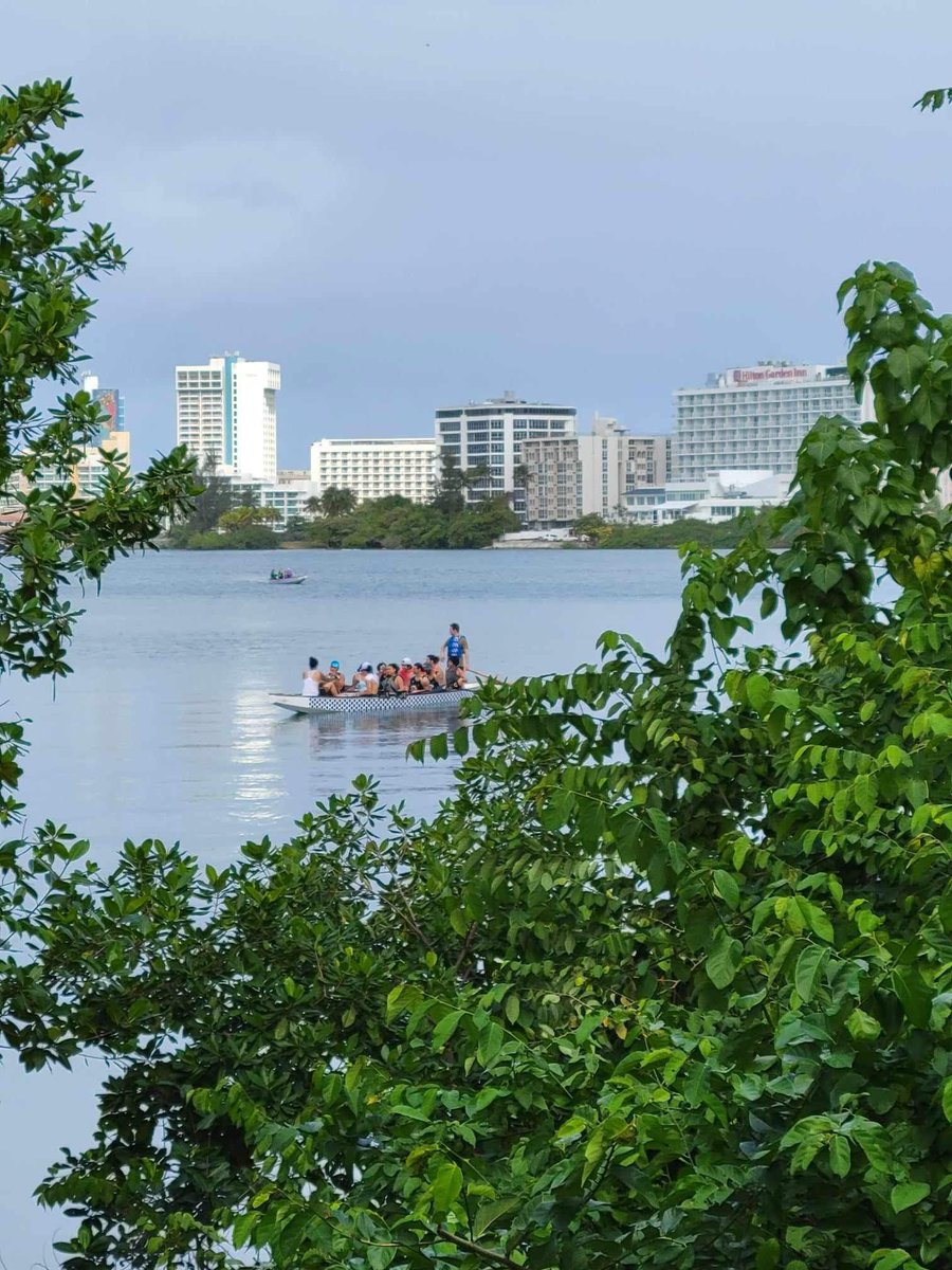 ONEDragonBoat's tweet image. First race in 2024! #oneracing #bostondragonboat #bostonpaddle #LetsGo #impactdragonboat