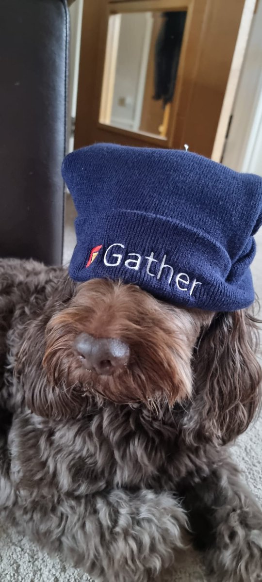 Have you got your new Gather apparel?

Great for site teams AND four legged friends...