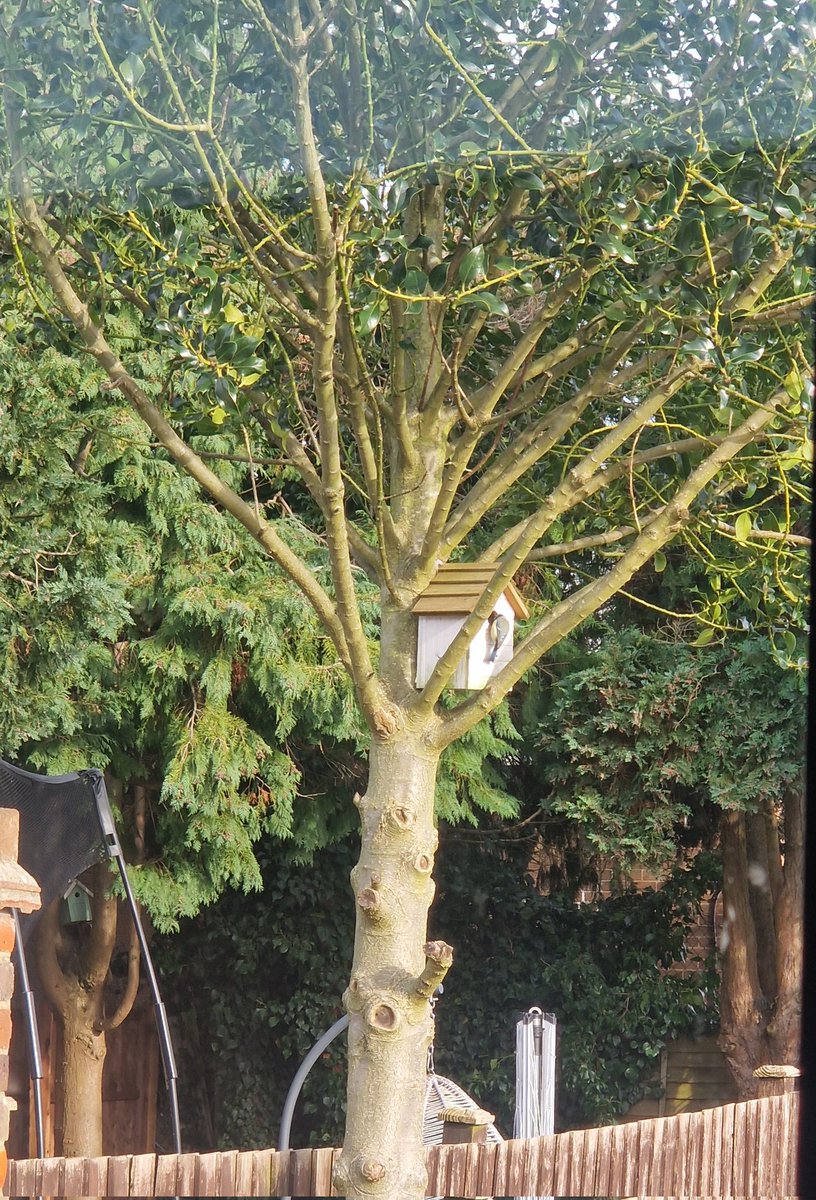 prem9311's tweet photo. @StAlbansCouncil Can I report this fella who built house and residing in my garden? No planning permission and no council tax. https://t.co/KKb9xAfyao