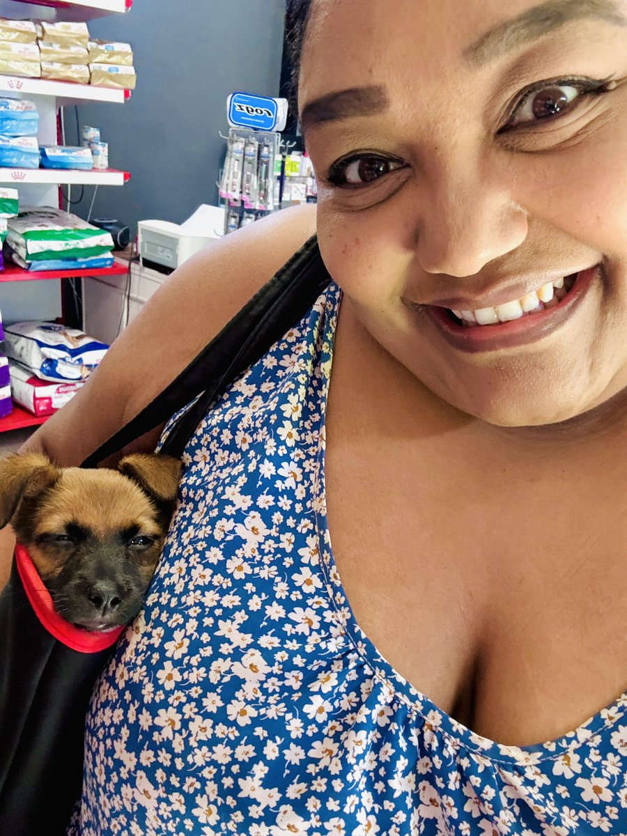 samjoosteza's tweet photo. My #babydog went for his first shot this morning and what a good boy he was! He deserved some new toys... 🦴
👑🐶🐾💙

#PrinceJack
#puppylove
#JackRussell https://t.co/x7ekm3zY7p