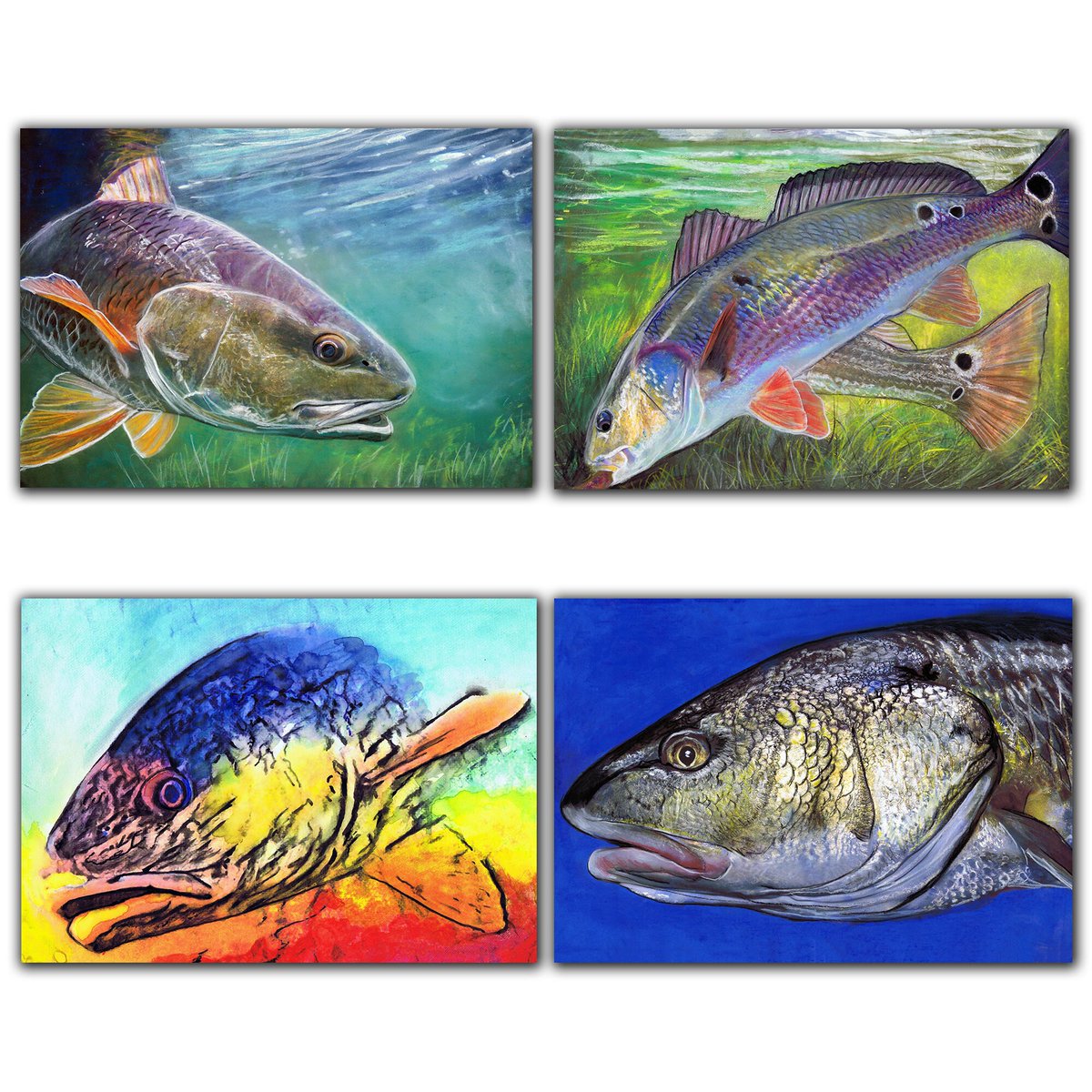 OscarJetson's tweet image. Four Redfish Red Drum Wall Art Prints, Fly Fishing Gift - Saltwater Fishing Décor Hand Signed By Jack Tarpon, Choice of Size Red Fish tuppu.net/5f393cf #Etsy #DogFishArtCo #Redfish