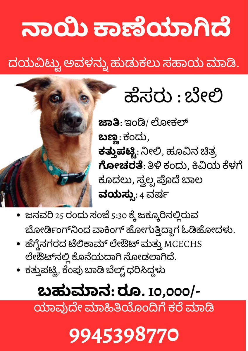 Pls help is sharing this by retweeting this post as much as possible.. Need maximum reach to find Bailey as fast as possible.. Your help will go a substantial way is helping us find her..!!

#Bengaluru #Dog #Lost #LostDog #Help #Canine #bengalurudaily #Missing