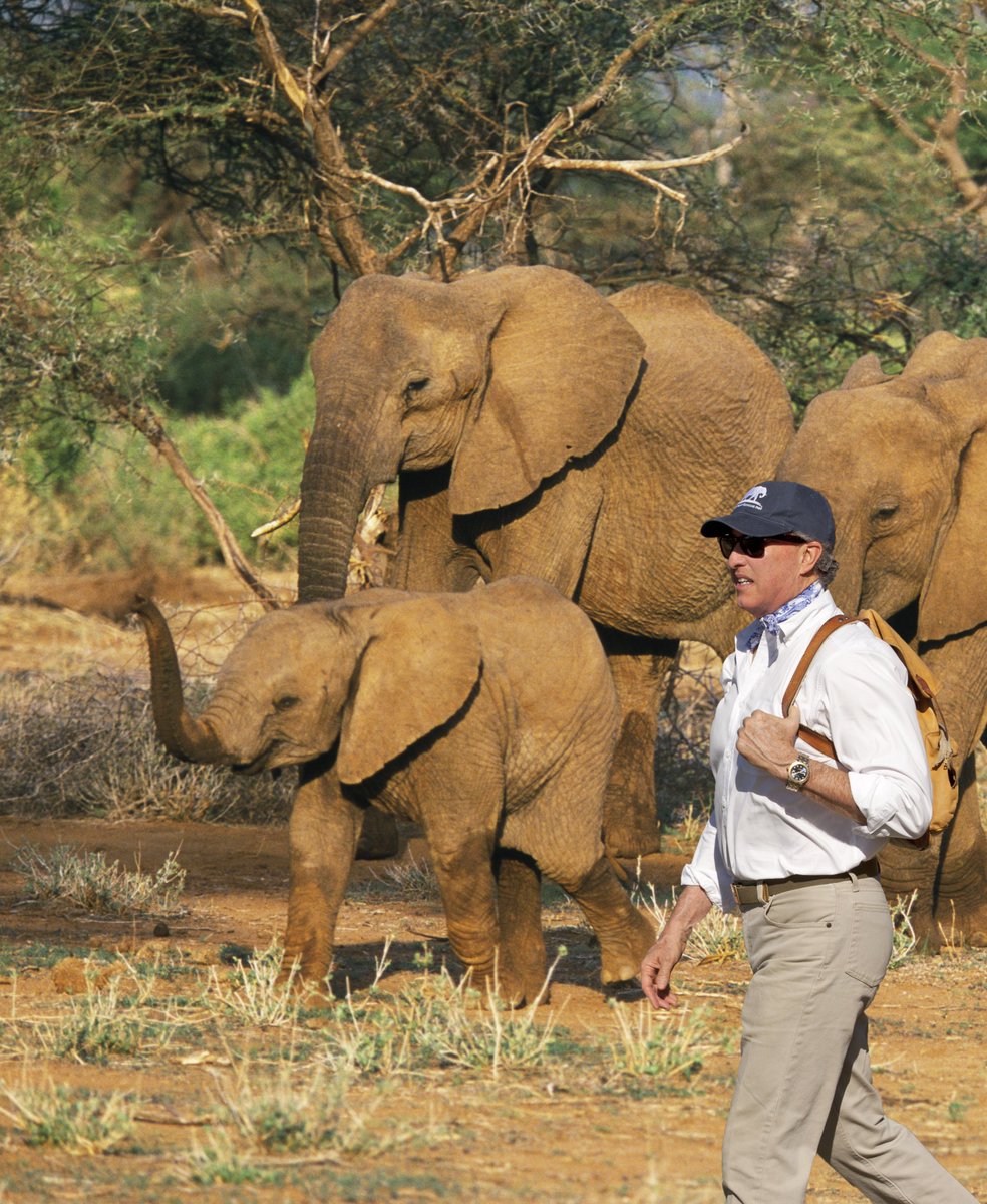 elephantplan's tweet photo. https://t.co/kfiTDiwriq https://t.co/E51isw1xTY