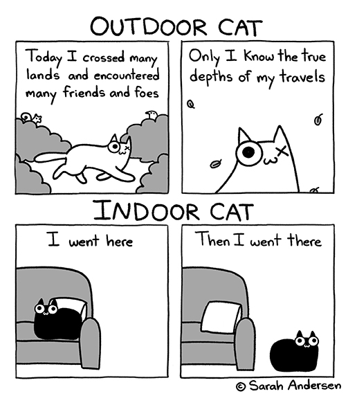 SarahCAndersen's tweet image. 