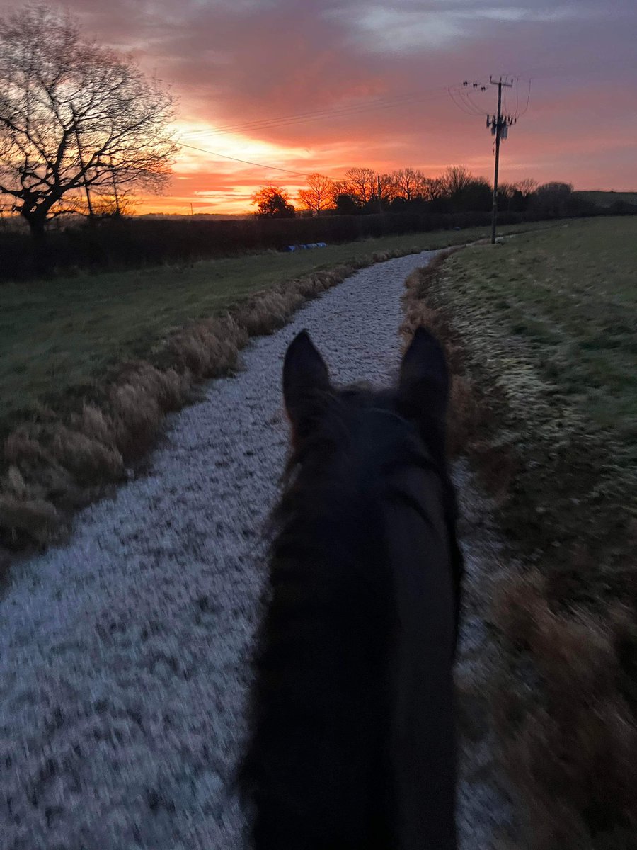 SallyBurford's tweet photo. Thanks to @LodgeIvy for pre-training Cheltenam De Vaige after his break👌. Now with @Hannah30Lewis to go pointing 🏇 https://t.co/fFwoPdIGV3