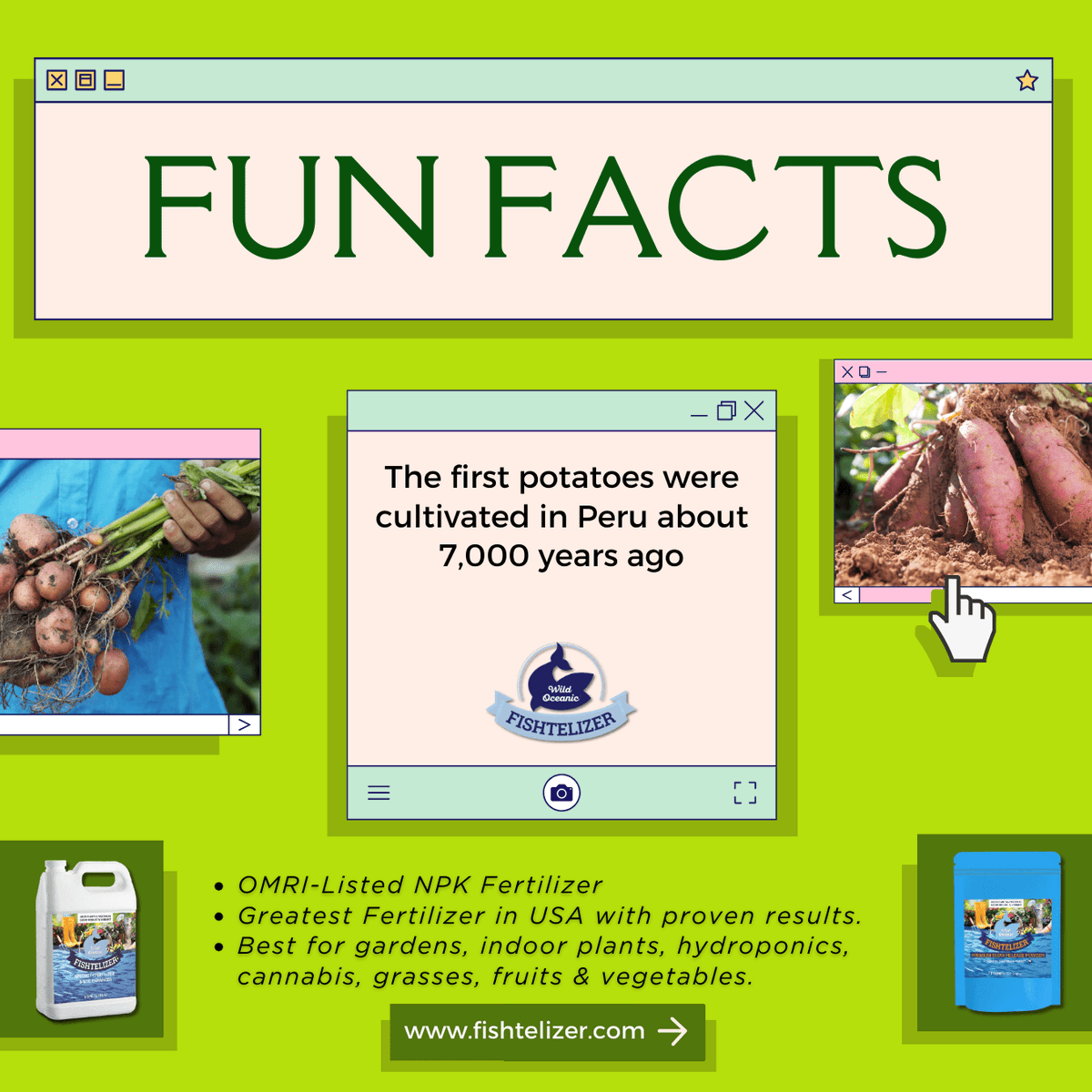 Fishtelizer's tweet photo. FUN FACT ๐ข๐ฎ๐จ
Follow @fishtelizer for more amazing fun facts and content ๐๐
#fertilizer #nitrogenrichfertilizer #growplants #planting #gardening #gardeningathome #growvegetablesathome #bestyield #ecofriendly #boostplantgrowth #hydroponics #madeinusa #funfacts https://t.co/GvHqtcTb3R