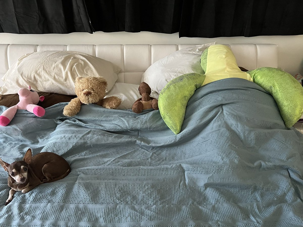 fgarciatio's tweet image. Resting on the day before the race ❤️

#GoRunProject 🌴 #GRP #JustShowUp #FreeFitness #5KTraining #Track #OCR #5K #SpeedTraining #Miami #Run #MiamiMarathon #MiamiFamous