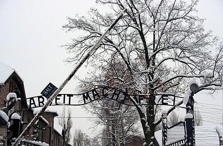 Aleicito's tweet photo. En 1945 hace 79 años tropas soviéticas liberan el campo nazi de concentración Auschwitz (Polonia). A la entrada había un cartel con el lema Arbeit macht frei (El trabajo libera), desde 20 mayo 1940 al 27 enero 1945, murieron un millón cien mil personas, la mayoría judíos #lacteo https://t.co/DcOpiAEU9L