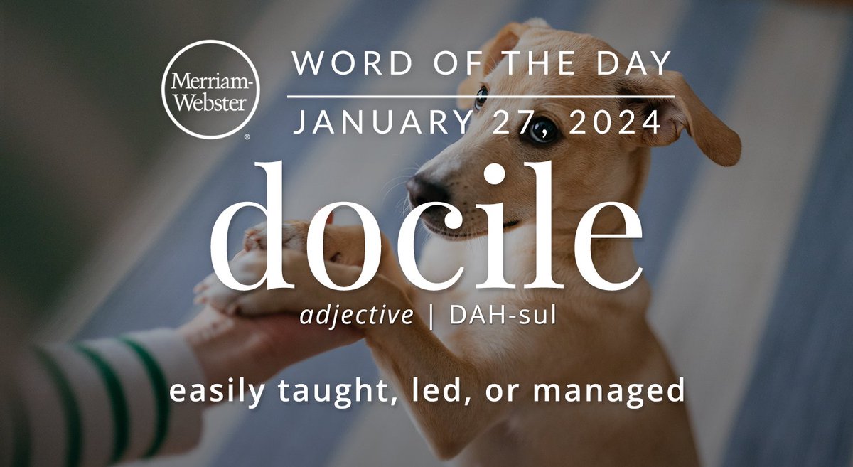 Merriam-Webster tweet media