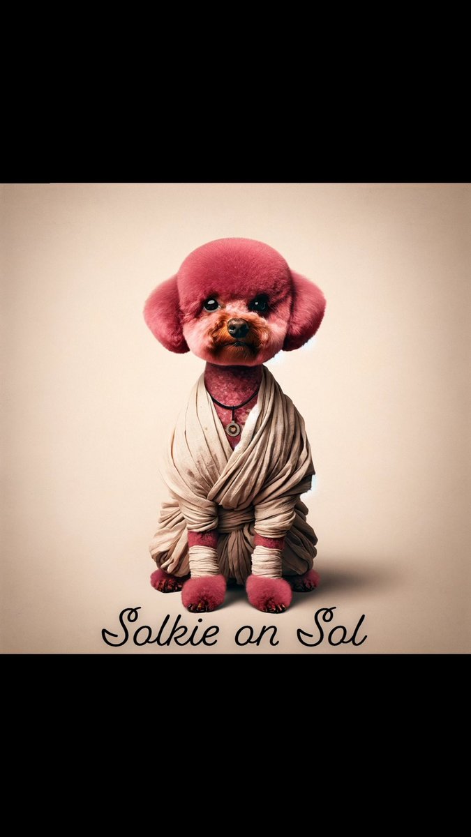 NVH699958786794's tweet photo. @Pauly0x We like listing sites 

@solkiesol 
@Solhunterscom https://t.co/kFNS8W2sWZ