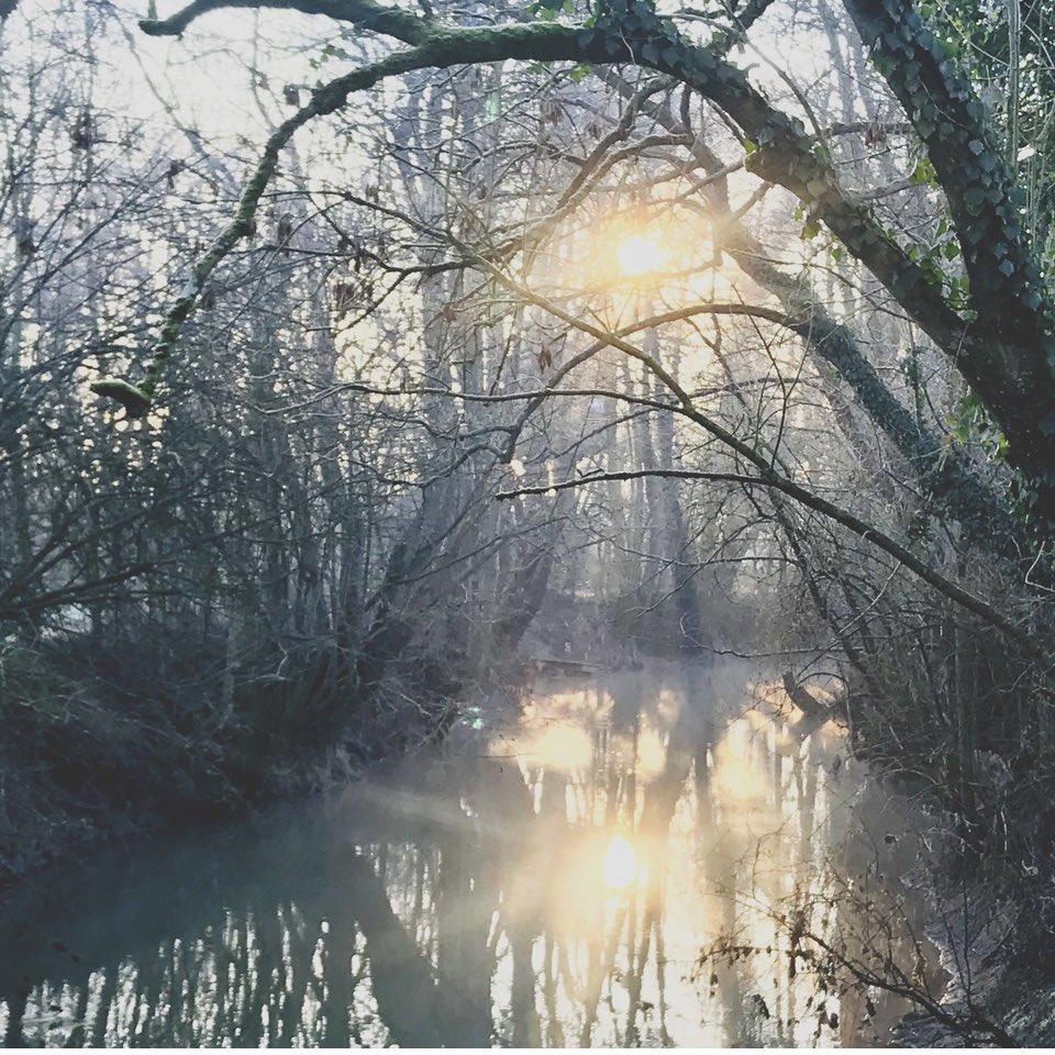 cabanesdumoulin's tweet photo. Le #soleil d #hiver au petit #matin aux Cabanes du Moulin.
#nature #cabane #cabaneperchee #cabanedanslesbois #cabanedanslesarbres https://t.co/mTV5wCSLoR