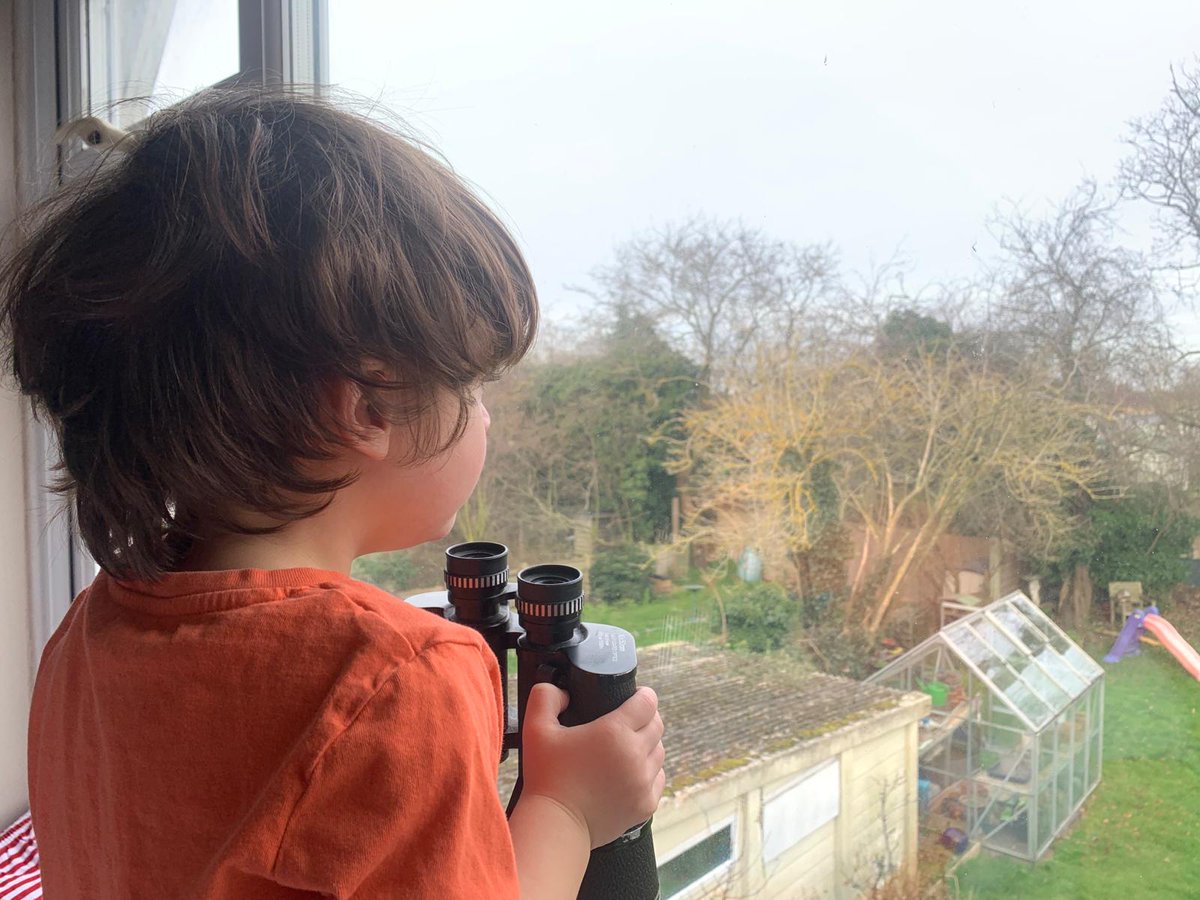 Another good year for starlings in our garden during the #BigGardenBirdWatch. <a href="/RSPBEngland/">RSPB England</a> <a href="/Natures_Voice/">RSPB</a> 🐦